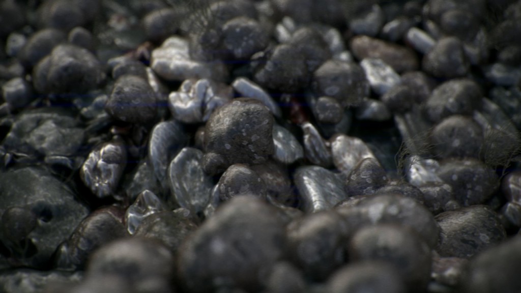 pebble cycles scene