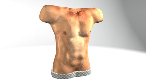 Human Body