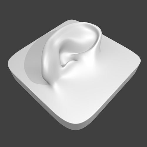 Human Ear
