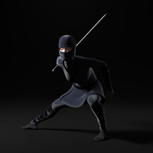 Female Ninja 2.0