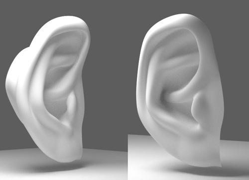 Ear
