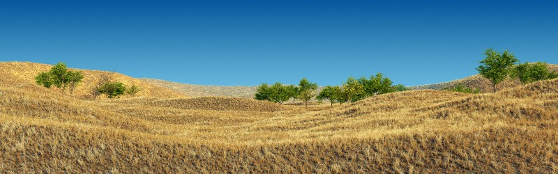 land2