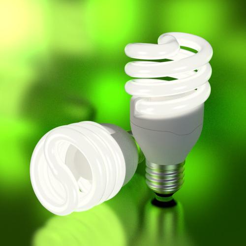 Eco Light Bulb