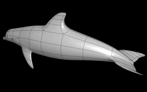 Low poly dolphin