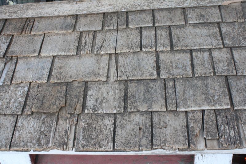 Wood shingles Texture