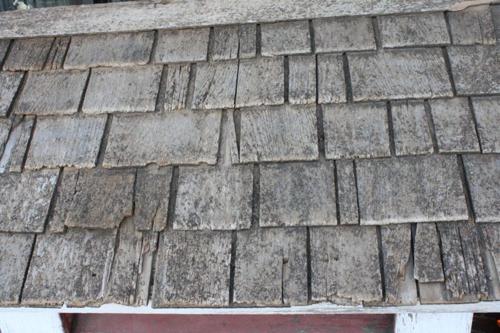 Wood shingles Texture