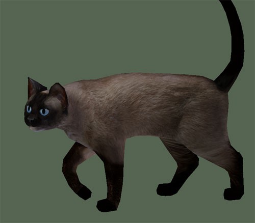 Lowpoly Siamese Cat
