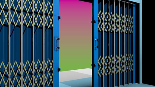 Folding Gate