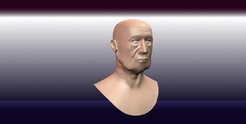 Realistic Old Man Head