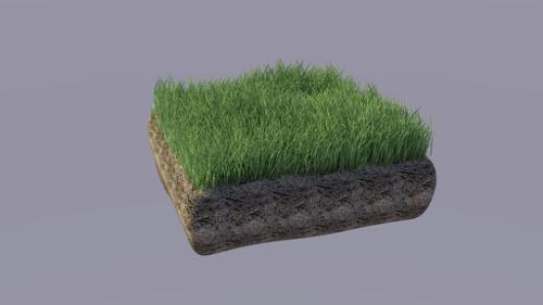 Realistic grass