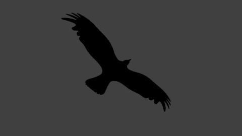 Low Poly Crow - Rigged