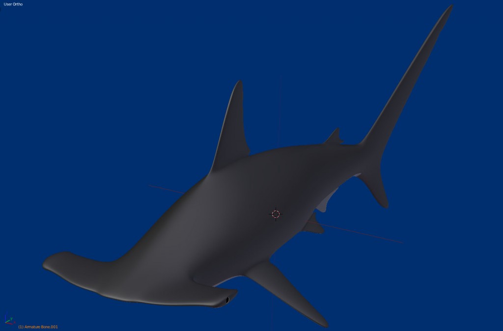 hammerhead shark