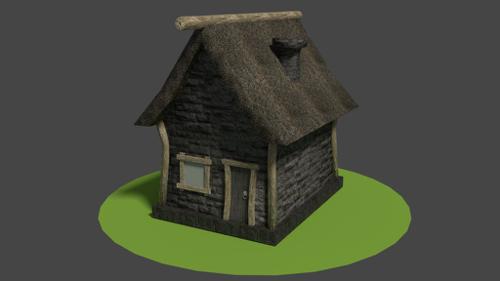 Realistic Cartoon House
