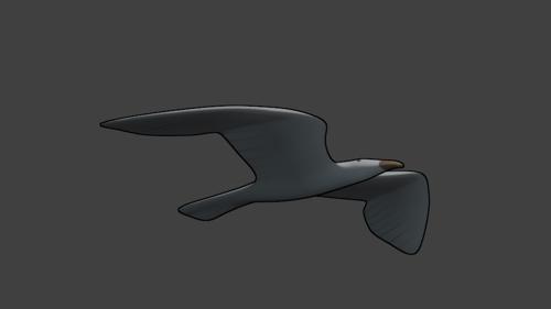 Low Poly Seagull