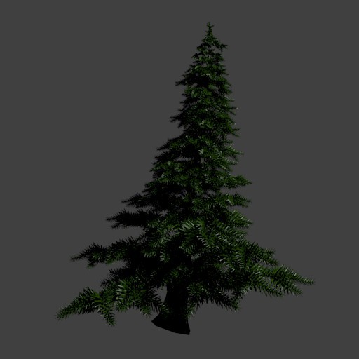 Pine Tree