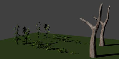 Leafy Plants