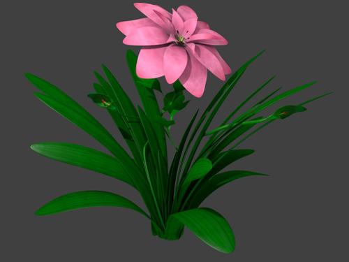 Future Plant