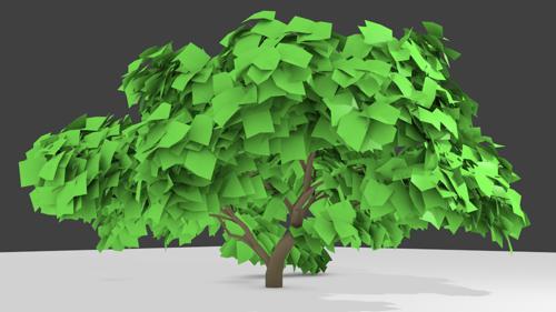 Low Ground Cover Tree