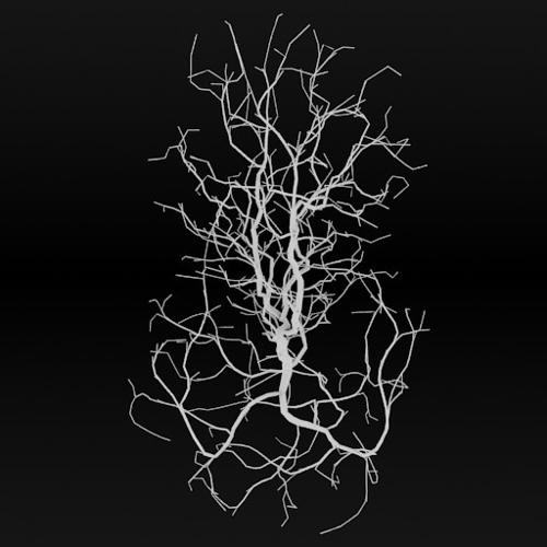 Neruon  Neural Network