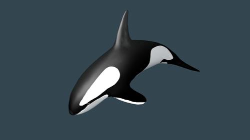 Killer whale