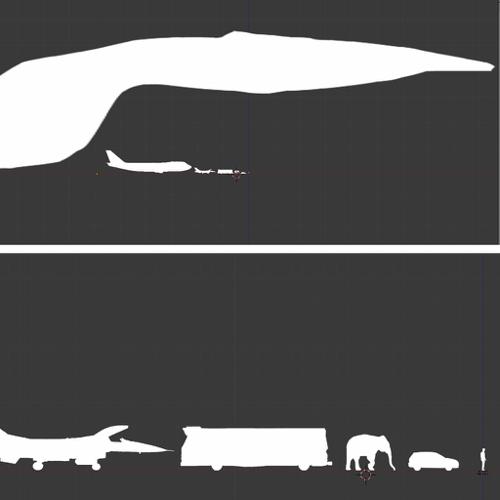 ProperModelScale