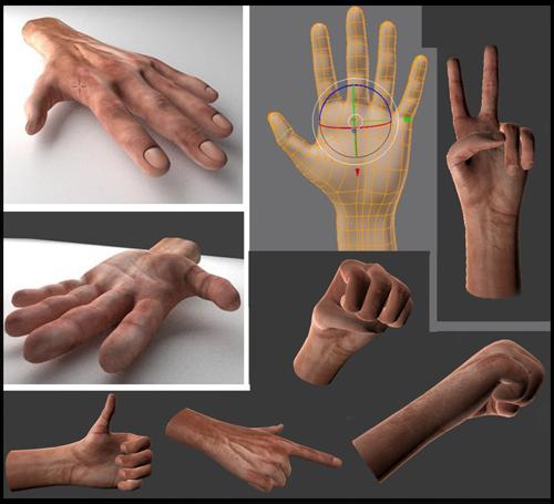 Rigged Hand