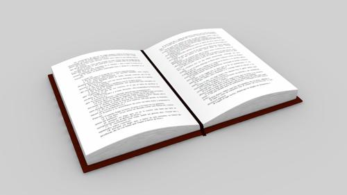 Bible