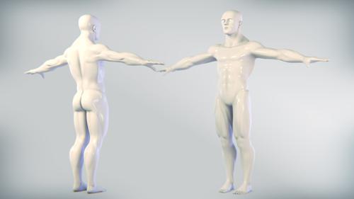 Body male with muscle topology
