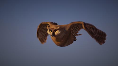 Owl