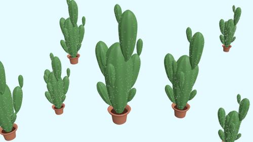 CACTUS