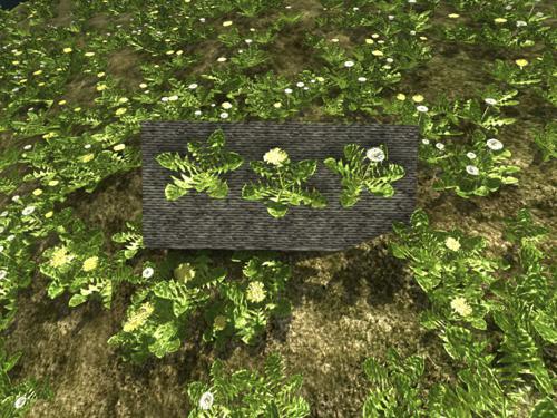 Dandelions
