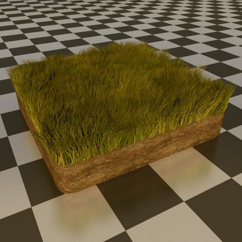 Cycles Grass