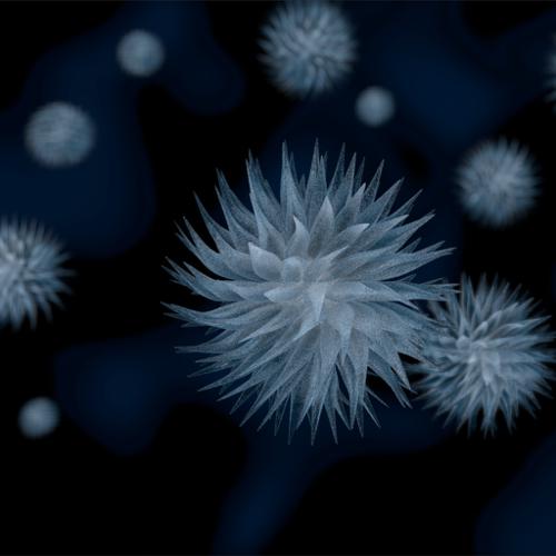 The evil Viruses
