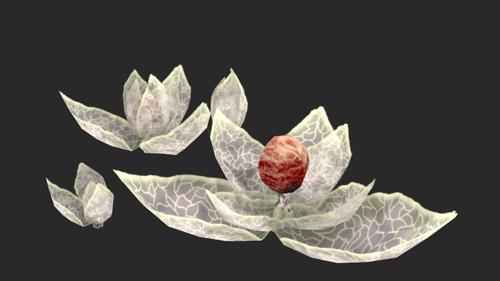 Spirit Shroom-Plant