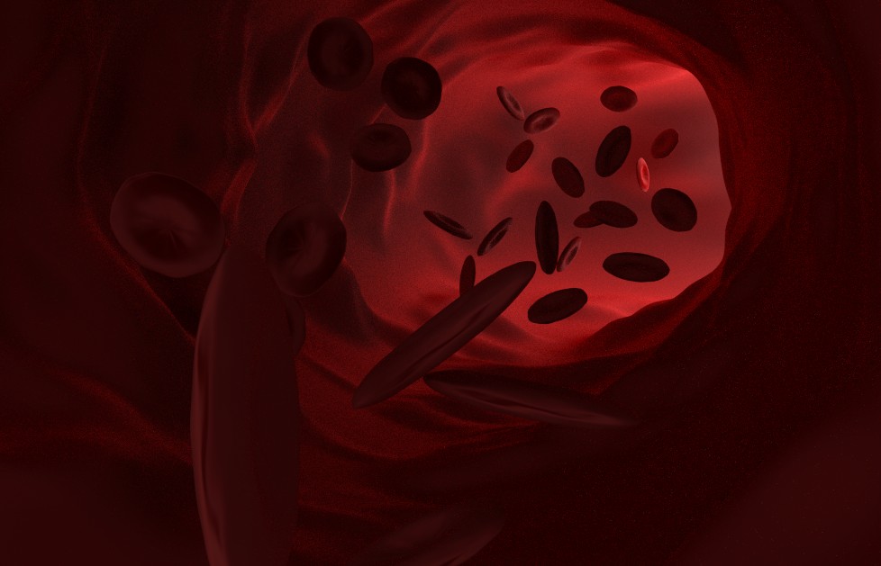 Blood vessel in Cycles