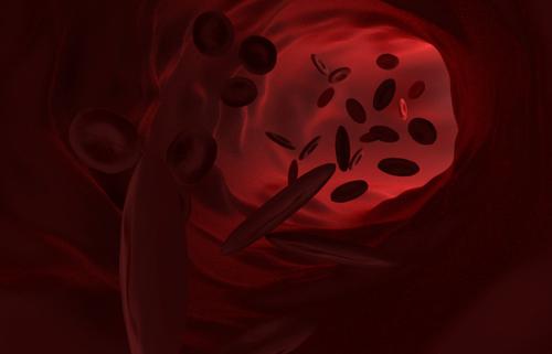 Blood vessel in Cycles