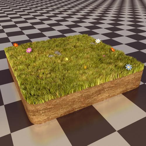 Cycles Grass 2