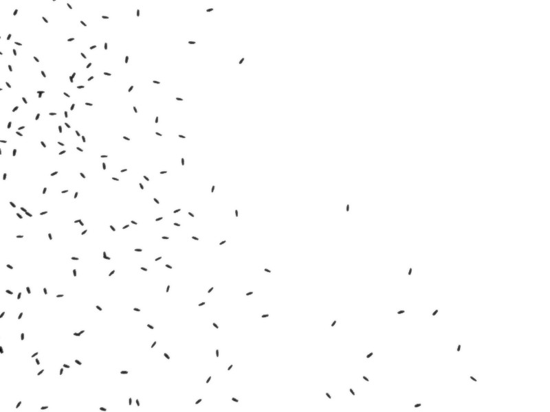 Termites - boid particles
