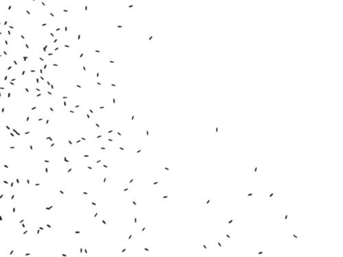 Termites - boid particles