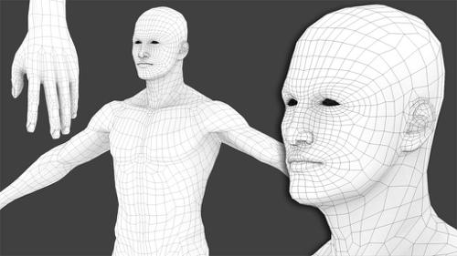 Generic Male Basemesh (rigged)