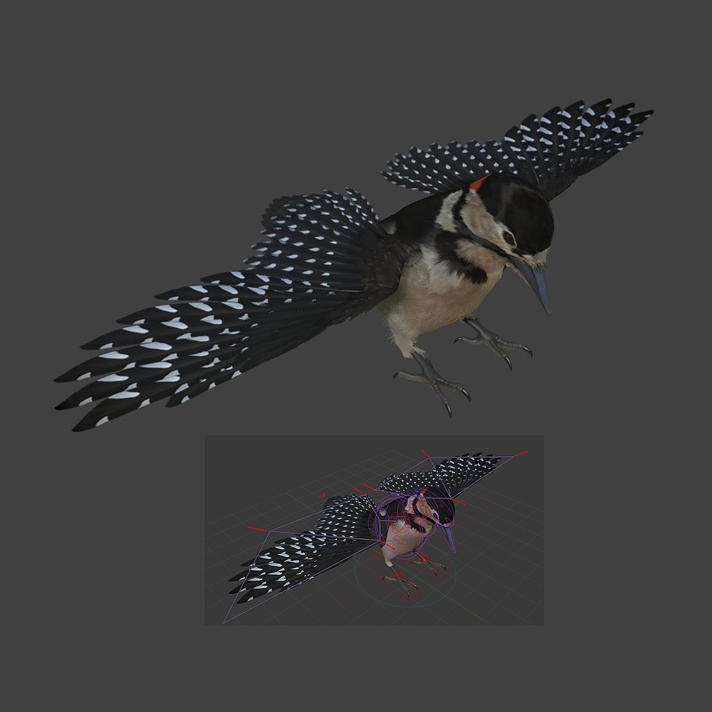 Woodpecker