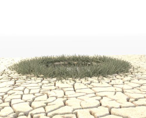 Desert scene with dried out ground
