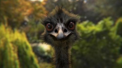 Emu