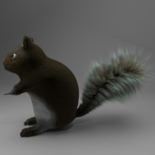 Squirrel