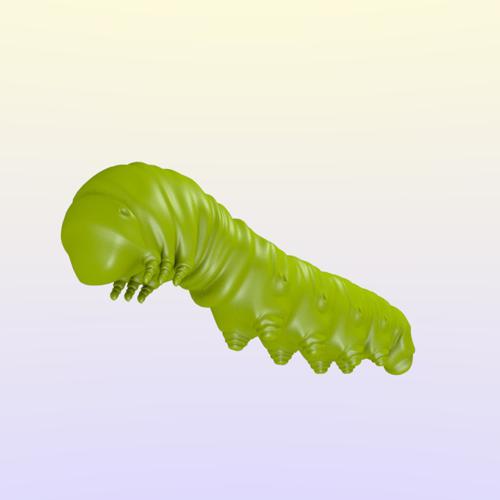 Caterpillar