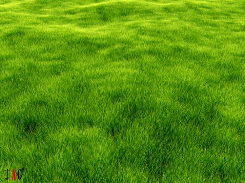 Internal is NOT dead!!! - Grass Render