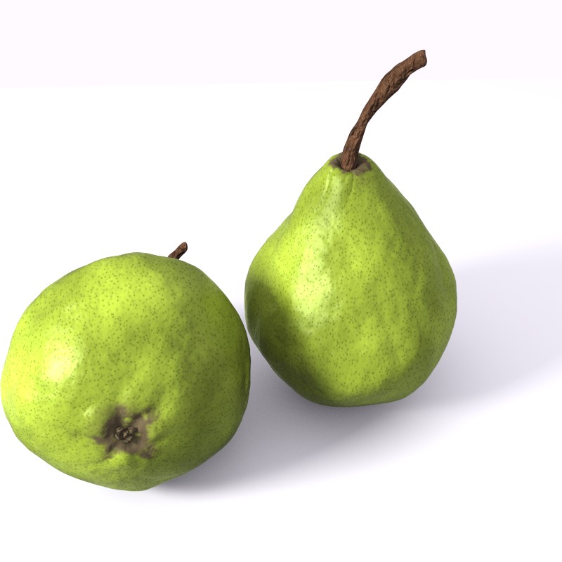 Pear Series: Cycles setup