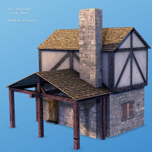 RookieProject - House 01