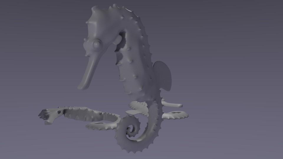 Seahorse