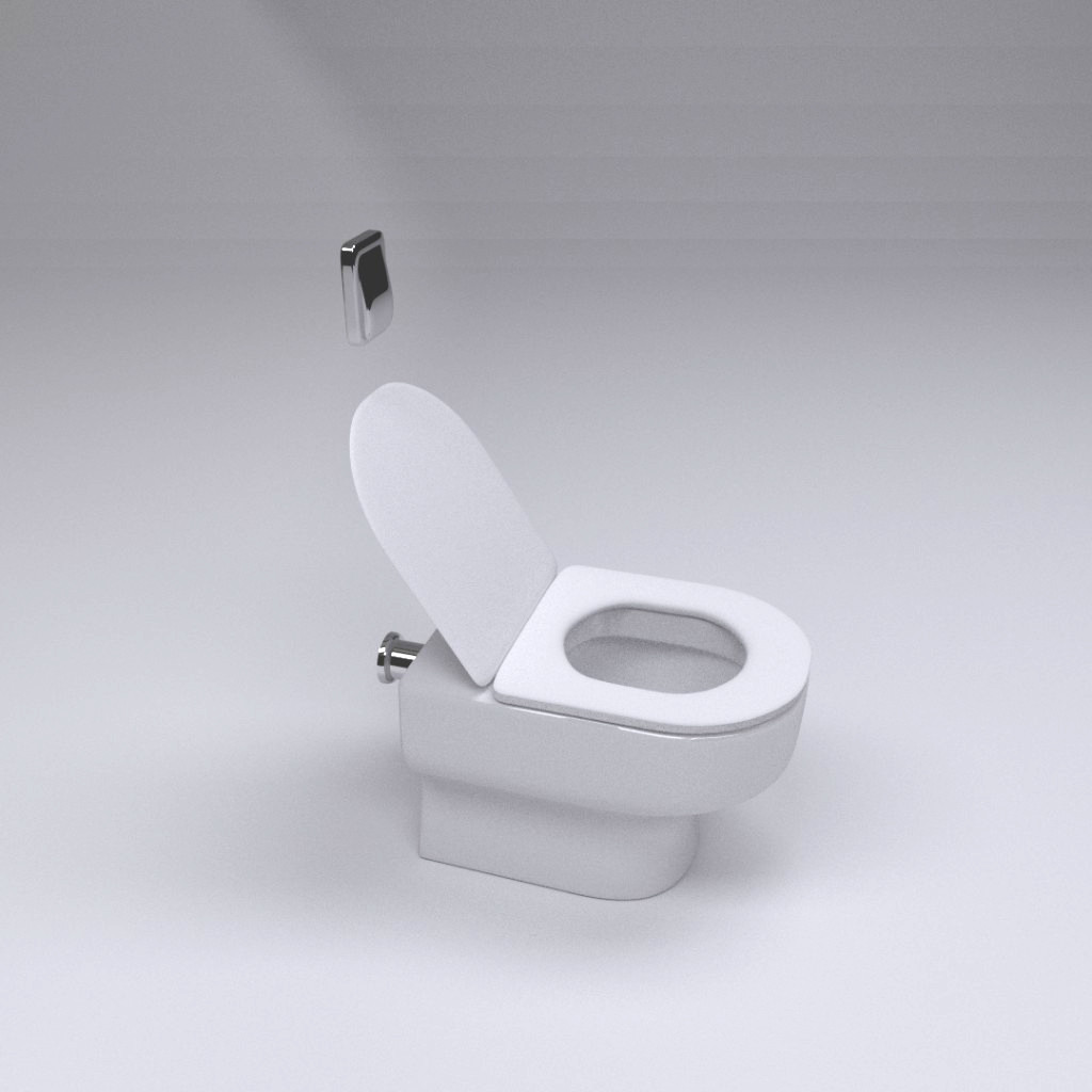 Carrara Toilet
